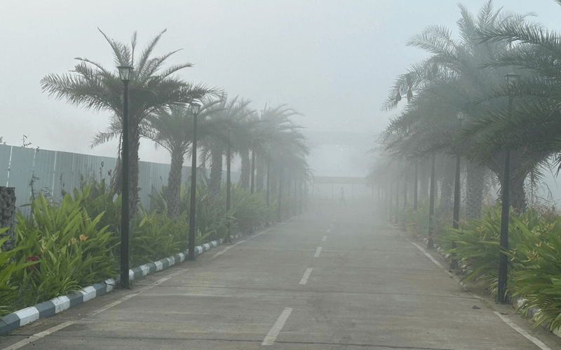 Surabhi Convention