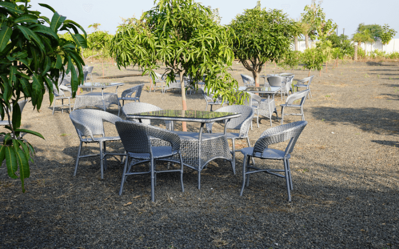 Fun_Dine Restaurant