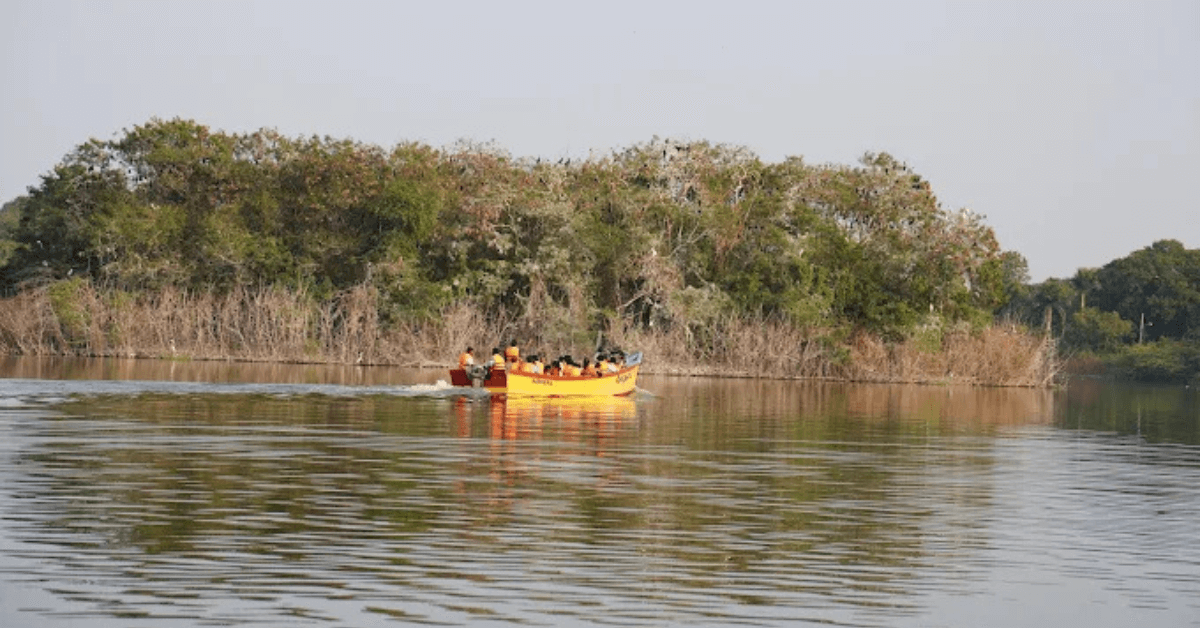 Sharanabasaveshwar Lake (SB Lake)