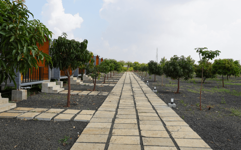 Mangrove Cottages